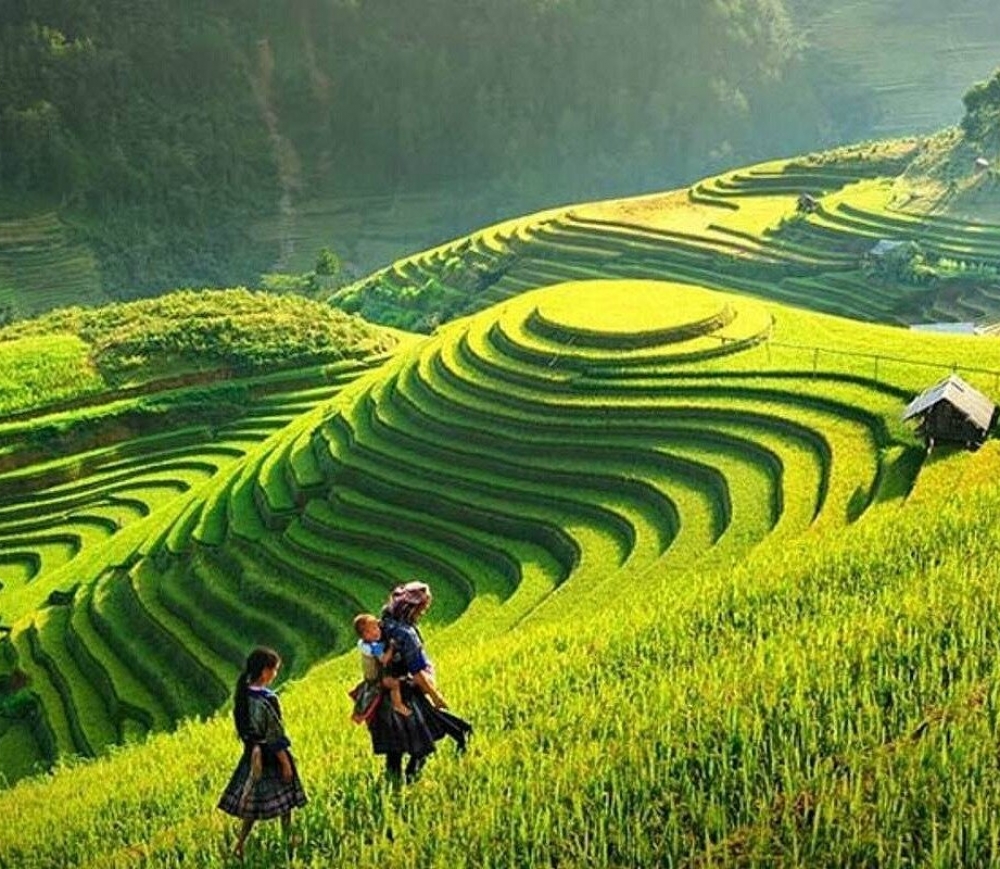 Best Vietnam Travel Agency 2026 | Top Tour Operators in Vietnam